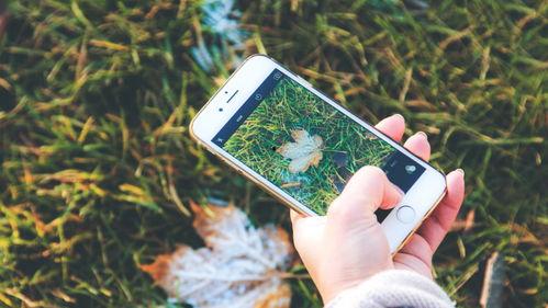 手机看片国产永久福利,国产福利大片，尽在掌握  第2张