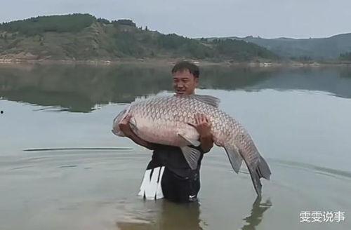 青鱼视频在线观看国产,青鱼视频带你领略国产影视魅力 第2张 青鱼视频在线观看国产,青鱼视频带你领略国产影视魅力 第2张