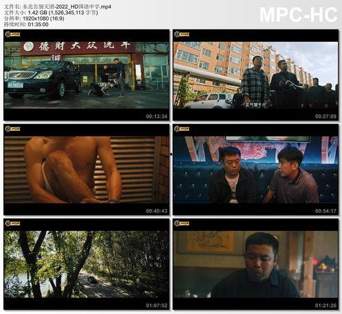 国产字幕,跨越语言障碍,传递文化魅力 第2张 国产字幕,跨越语言障碍,传递文化魅力 第2张